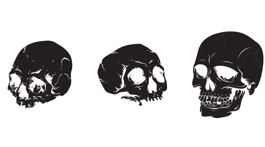 skulls